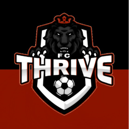 Thrive Fc Pitch
