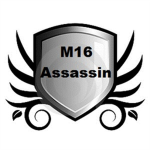 M16 Assassin