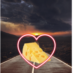 The Road Of Cheesy Love