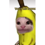 Bendy banana forces