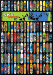 skateing fans