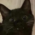 G*y Kats