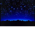 The lil Stars