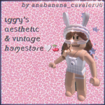 iggy’s aesthetic&vintage homestore