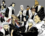 bleach captain