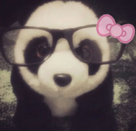 PANDA COMUNUTY