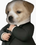 Locos de robux
