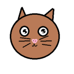 Kitty Cats And Kittens Studio
