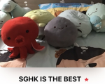 SGHK sukk shop