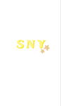 메트로 S N Y 그룹