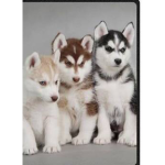 Puppyfanclub_join