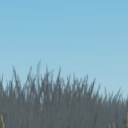 red light green light background Roblox decal
