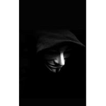 The Last Shadows