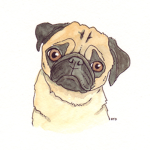 Pug Dev Studios