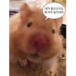 온롱크루