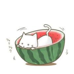 WATERMELONS WILL TAKE OVER THE WORLD