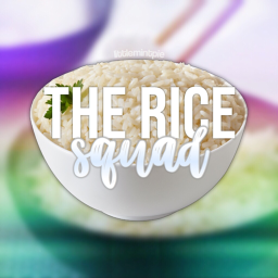 The Rice Squad Resturant! {UPDATE, REAST DESC}