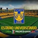 University Stadium | LPMX icon