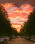 Opacarophile sunset