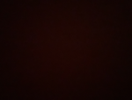جيش ديم قروب طقطقه
