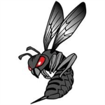 New Black hornet Era