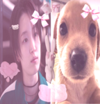 ~| c u t e c o r e |~