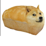 Doggy do do