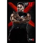 -Mike-Tyson-Boxing-Group-