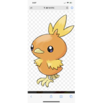 Torchic squad