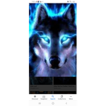 Blue killer wolfs