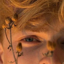 his icon