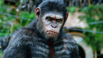 Ape$$