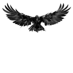 Crow’s United