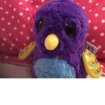 Berdys clothes