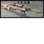 FEAR ASSALT TEAM