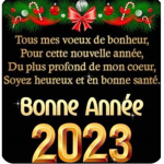 Je peux te donner des rbx peut être