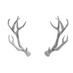 White Sparkle Time Antlers