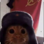 Друзья 3000