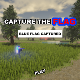 🏁 Capture the flag 🏁
