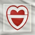 [ROKA] The 30th Mechanized Infantry Division