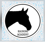Raining Academy