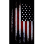 USA ARMY OFFICIAL