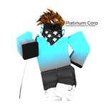 Platinum Development Corp