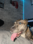 XPLR Games