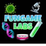FunGame Labs