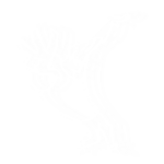 Material Limit ©