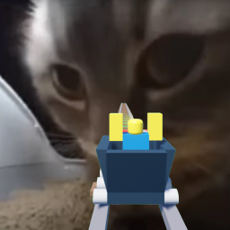 Cart Ride Into Cat!