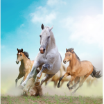 Pony-Sitters Club