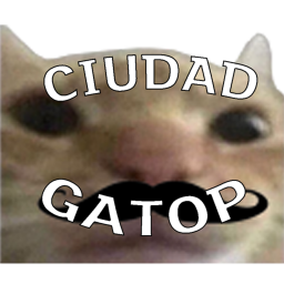 [¡UPDATE!] Ciudad Gatop