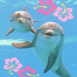 ♡